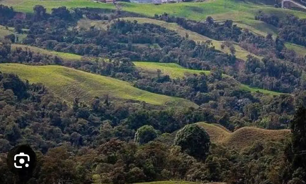 REMATE DE FINCA CORREGIMIENTO LA CRISTALINA VEREDA EL CASCARERO